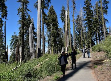 california/sequoia-national-park/attraction/panoramic-point-overlook