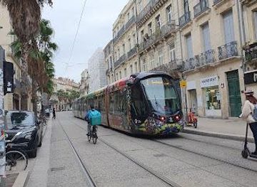 france/montpellier/attraction/place-edouard-adam