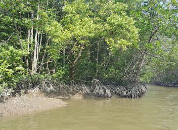 vietnam/mekong-delta/attraction/monkey-island