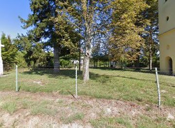 hungary/zalaegerszeg/attraction/vedett-fa-kislevelu-hars