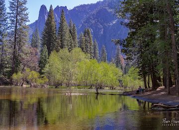 california/yosemite-village/attraction/cathedral-beach-picnic-area