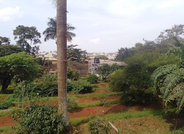 uganda/kampala/attraction/botany-botanical-garden