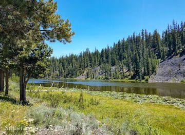 montana/yellowstone-national-park/attraction/lost-lake-loop-trailhead