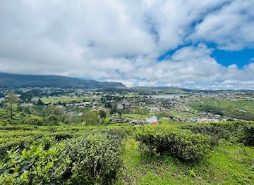 sri-lanka/horton-plains-national-park/attraction/single-tree-hill-view-point