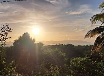 jamaica/savanna-la-mar/attraction/osheenei-z-inc