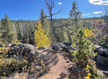 wyoming/laramie/attraction/laramie-wyoming-usa-virtual-railfan-live