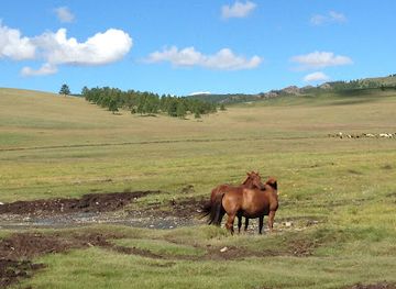 mongolia/mongolian-manchurian-grassland/attraction/erdene-zuu-monastery