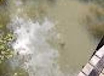 alabama/dothan/attraction/gazebo