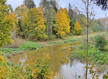 latvia/pape-nature-reserve/attraction/cirava-forest-park