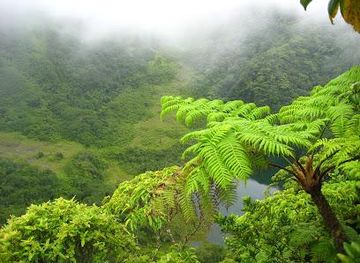 saint-kitts-and-nevis/basseterre/attraction/mount-liamuiga