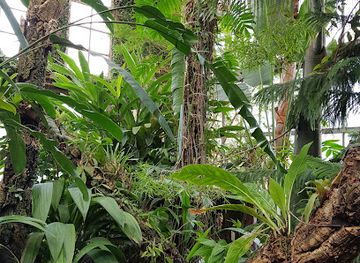 france/grenoble/attraction/les-serres-botaniques