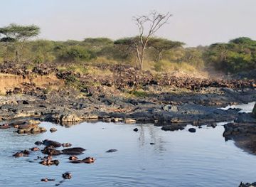 tanzania/lake-zone/attraction/retima-hippo-pool