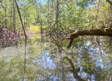 panama/bocas-del-toro/attraction/bahia-honda