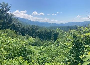 tennessee/pigeon-forge/attraction/baskins-creek-trail-trailhead