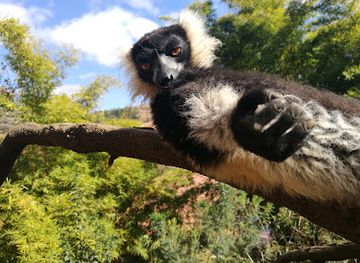 madagascar/atsinanana/attraction/park-voimma