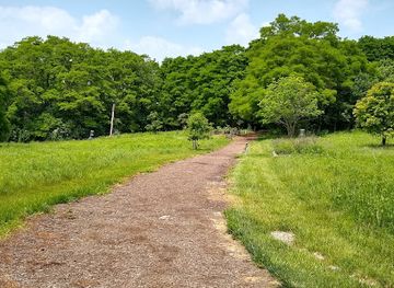 kentucky/sheltowee-trace-national-recreation-trail/attraction/toyota-kentucky-biodiversity-trail