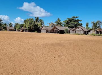 madagascar/diana/attraction/reserve-speciale-de-manongarivo