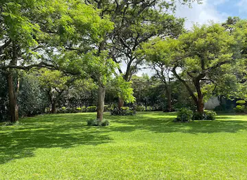 Garden of Peace