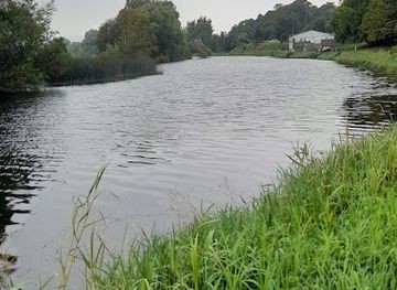 ireland/county-carlow/attraction/wildlife-sanctuary