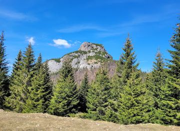 slovakia/mala-fatra-national-park/attraction/pod-tanecnicou
