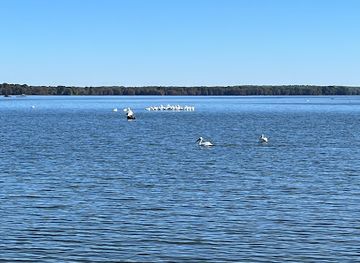 tennessee/reelfoot-lake-area/attraction/keystone-pocket