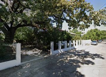 romania/focsani/attraction/stejar-secular