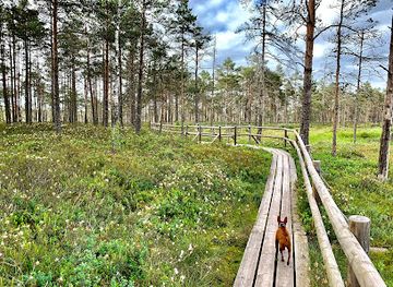 latvia/zemgale/attraction/akla-purva-taka