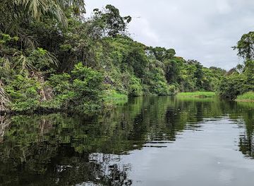 costa-rica/tortuguero-national-park/attraction/refugio-nacional-de-vida-silvestre-barra-del-colorado