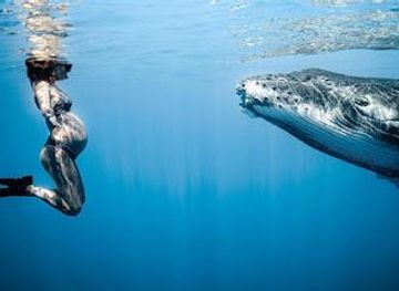 french-polynesia/moorea/attraction/moorea-moana-tours