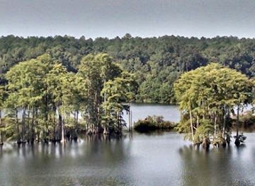 florida/tallahassee/attraction/lafayette-heritage-trail-park