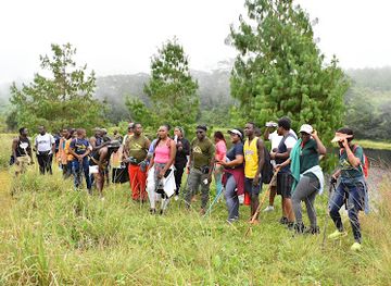 malawi/liwonde-national-park/attraction/chagwa-dam