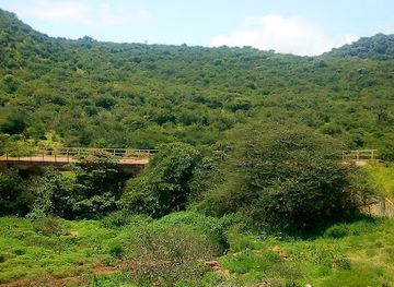 kenya/north-eastern-province/attraction/marsabit-national-park