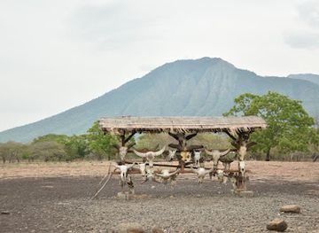 indonesia/east-java/attraction/baluran-national-park