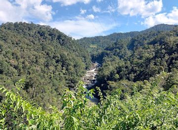 madagascar/ranomafana-national-park/attraction/chutes-andriamamovoka