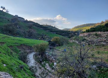 jordan/um-qais/attraction/Ain-Ghazal