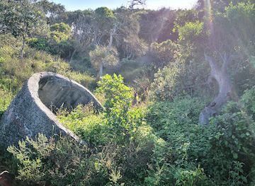 australia/northern-rivers/attraction/solitary-islands-marine-park