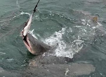 florida/key-west/attraction/key-west-extreme-adventures