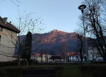 romania/brasov/attraction/bust-of-ciprian-porumbescu