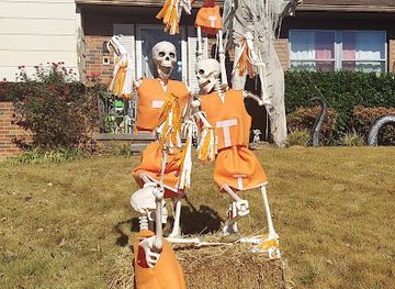 tennessee/knoxville/attraction/the-skeleton-house
