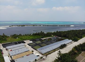 maldives/lhaviyani-atoll/attraction/sea-cucumber-farm