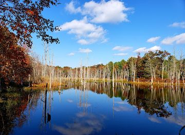 rhode-island/arcadia-management-area/attraction/beaver-river-preserve