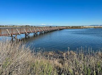 california/laguna-beach/attraction/bolsa-chica-ecological-reserve