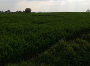 belgium/west-flanders/attraction/s-graventafel