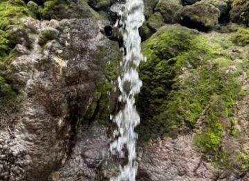 barbados/saint-philip/attraction/marleyvale-spring