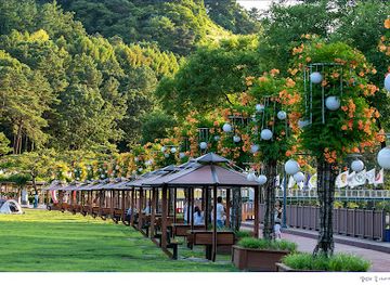 south-korea/daejeon/jung-gu/attraction/ppuri-park