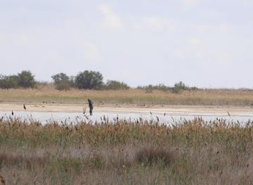 azerbaijan/baku/attraction/absheron-national-park