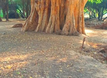 somalia/hargeisa/attraction/darayga