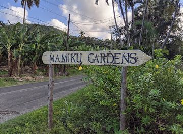 saint-lucia/choiseul-quarter/attraction/mamiku-gardens
