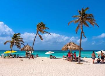 aruba/palm-beach/attraction/arashi-beach