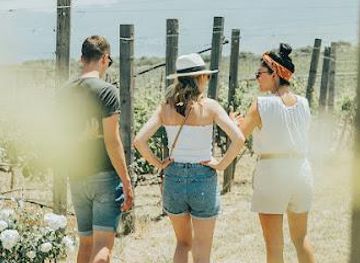 greece/heraklion/attraction/lyrarakis-winery-tasting-room